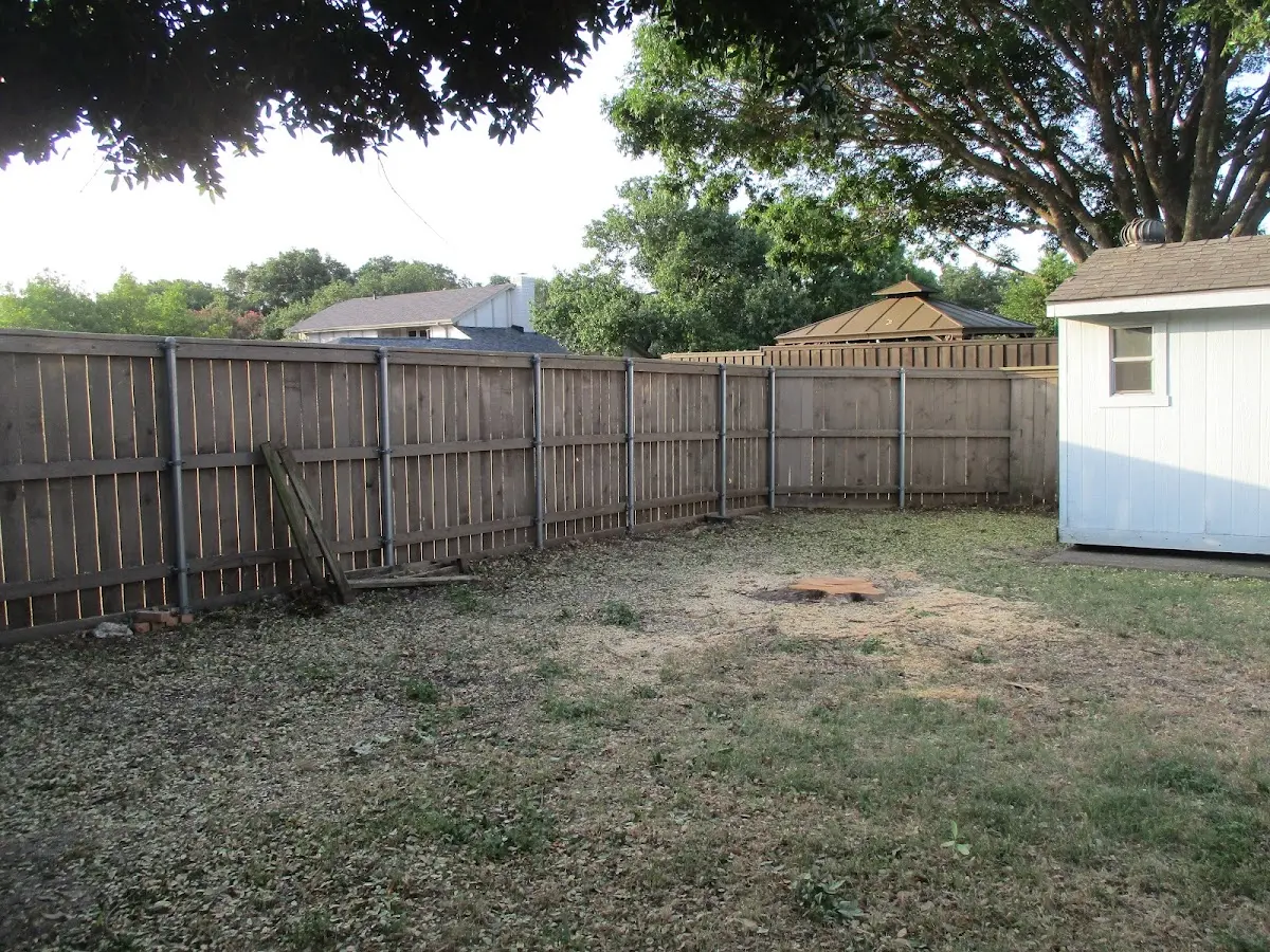 Cleared yard after professional tree removal in Grand Lake Stream